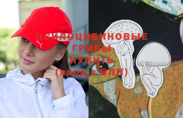 шишки Абдулино