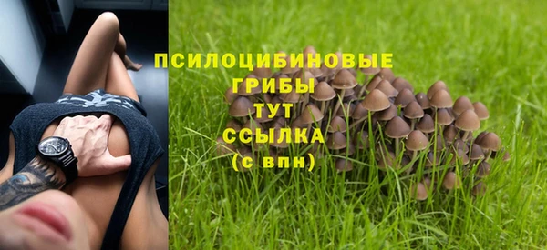 ешки Абаза
