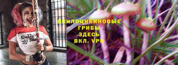 ешки Абаза